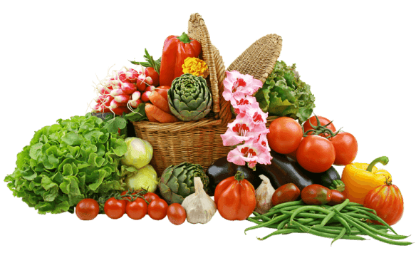 Fresh vegetable basket with tomatoes, radishes, and leafy greens